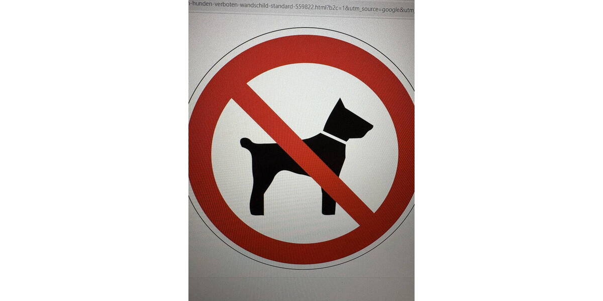 Etagenwohnung Düsseldorf Pempelfort - 2 Zimmer, 55 m&sup2;, 850&euro; | Angebot:26036999