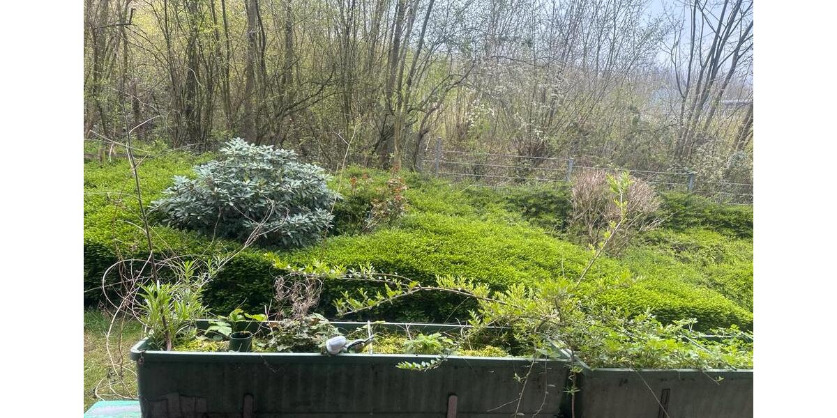 Etagenwohnung Wülfrath - 2 Zimmer, 65 m&sup2;, 680&euro; | Angebot:26020396