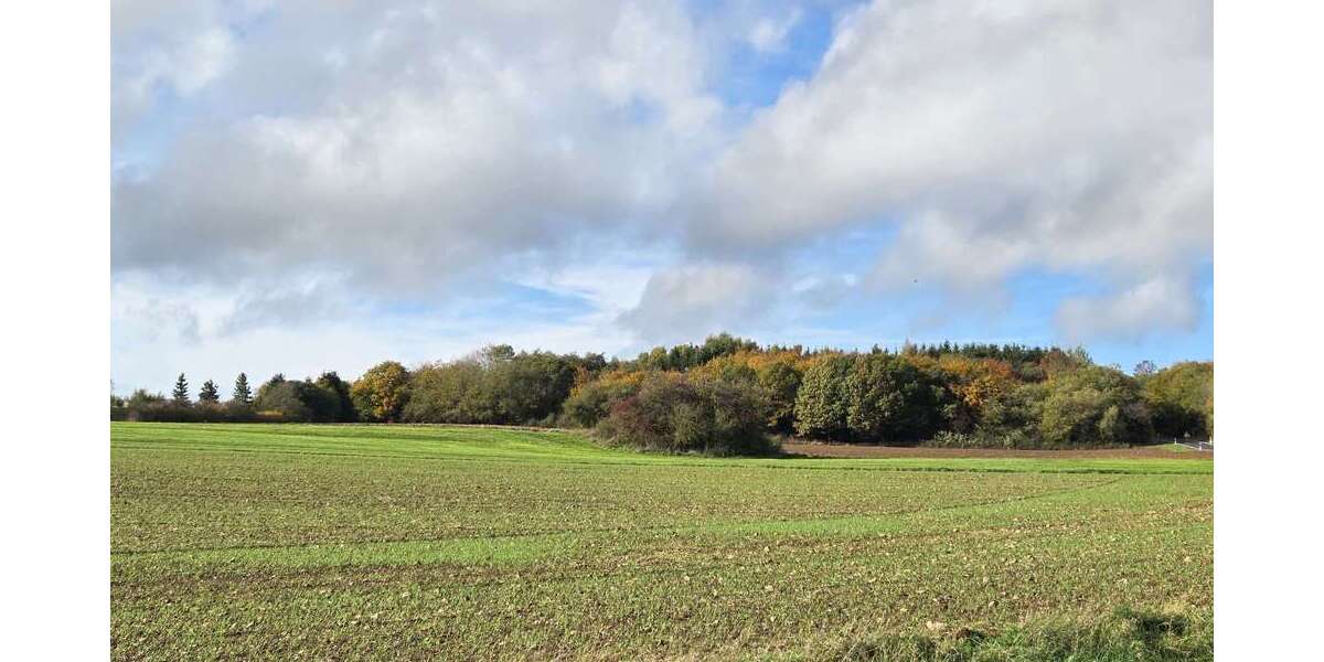 Einfamilienhaus Köln Lövenich - 5 Zimmer, 100 m&sup2;, 685.000&euro; | Angebot:25857610