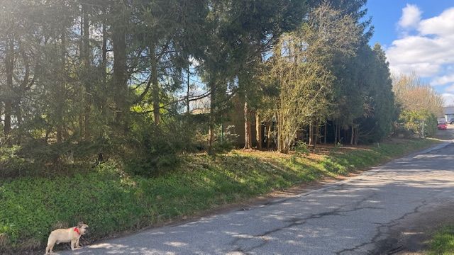 Provisionsfrei* Exklusives Baugrundstück in Toplage - uneinsehbar, familienfreundlich & mit 40km-Fernblick - Grundstück Bergisch Gladbach Frankenforst | Angebot:22630584