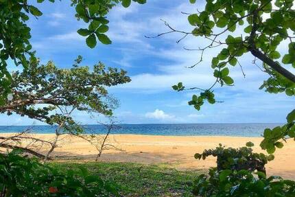 Grundstück in Costa Rica in einer der blauen Zonen der Erde - Grundstück Köln | Angebot:6421931
