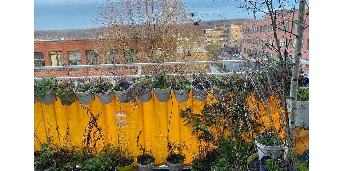 Dachgeschoßwohnung Düsseldorf Stadtbezirk 6 - 2 Zimmer, 40 m&sup2;, 540&euro; | Angebot:26014780