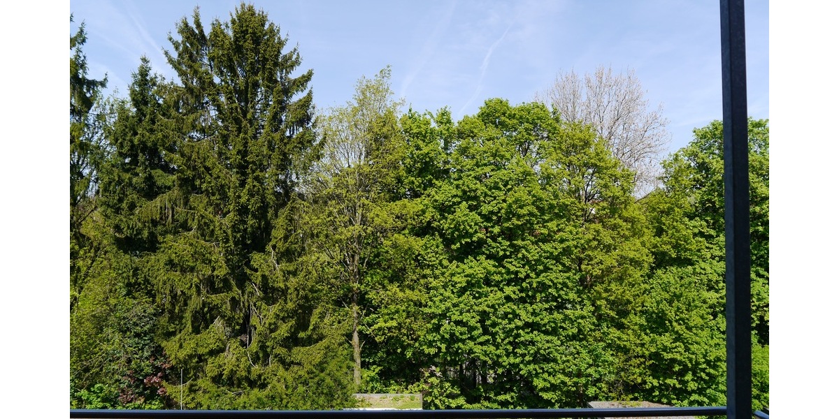 SG, komfortable 83m² 2 Zi. Loftwohnung mit Unikat-Charakter, Balkon, Stellplatz, EBK - Wohnanlage Solingen Mitte | Angebot:27003334