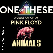 One Of These – A celebration of Pink Floyd / Animals Tour 10.04.2026 Lokschuppen Bielefeld
