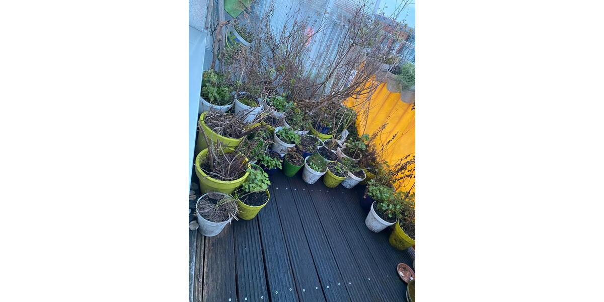 Dachgeschoßwohnung Düsseldorf Stadtbezirk 6 - 2 Zimmer, 40 m&sup2;, 540&euro; | Angebot:26014780