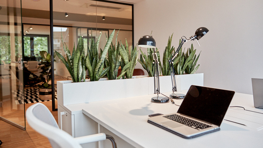 Gewerbeobjekt Köln Neustadt-Nord - 1.300&euro; | Angebot:25717491