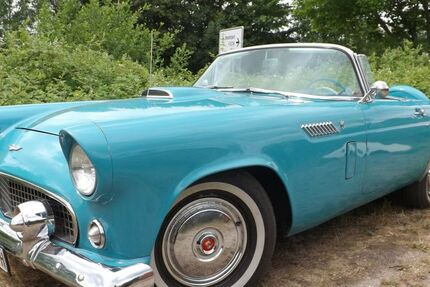 Ford Thunderbird 110.195 km 49.850 &euro; Mettmann 40822