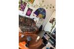 Etagenwohnung Köln Lindenthal - 2 Zimmer, 50 m&sup2;, 990&euro; | Angebot:26698787