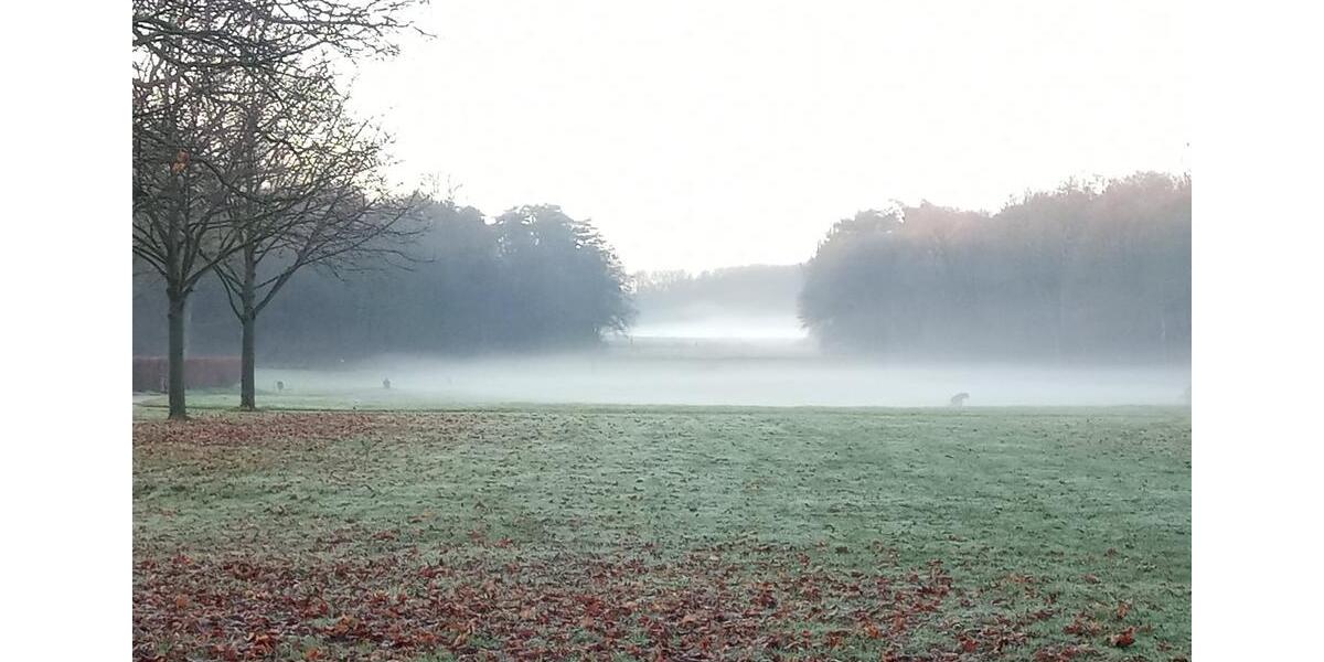 Etagenwohnung Köln Rodenkirchen - 3 Zimmer, 68 m&sup2;, 388.000&euro; | Angebot:24525341