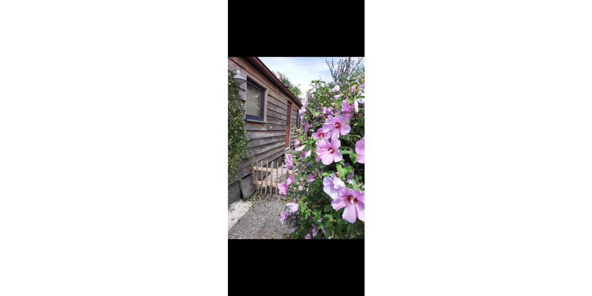 Grundstück Willich - 10.000&euro; | Angebot:23142554