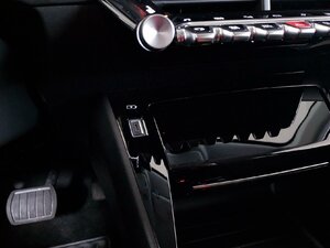 Peugeot 208 e- Allure Pack Kam SHZ Tempo Navi 22.598 km 17.880 &euro; HAAN 42781