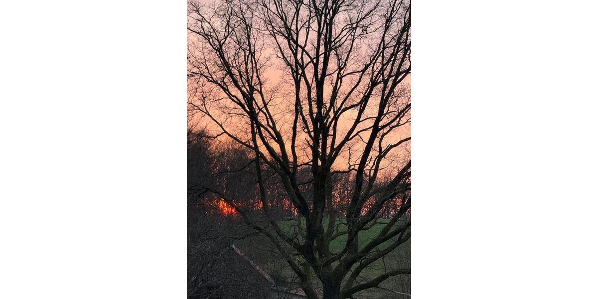 Erdgeschoßwohnung Odenthal - 4 Zimmer, 92 m&sup2;, 1.200&euro; | Angebot:26031715