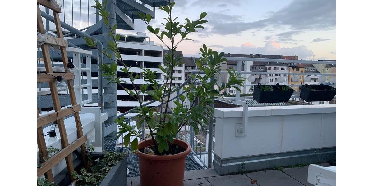 Etagenwohnung Düsseldorf Stadtbezirk 3 - 1 Zimmer, 30 m&sup2;, 710&euro; | Angebot:25991805