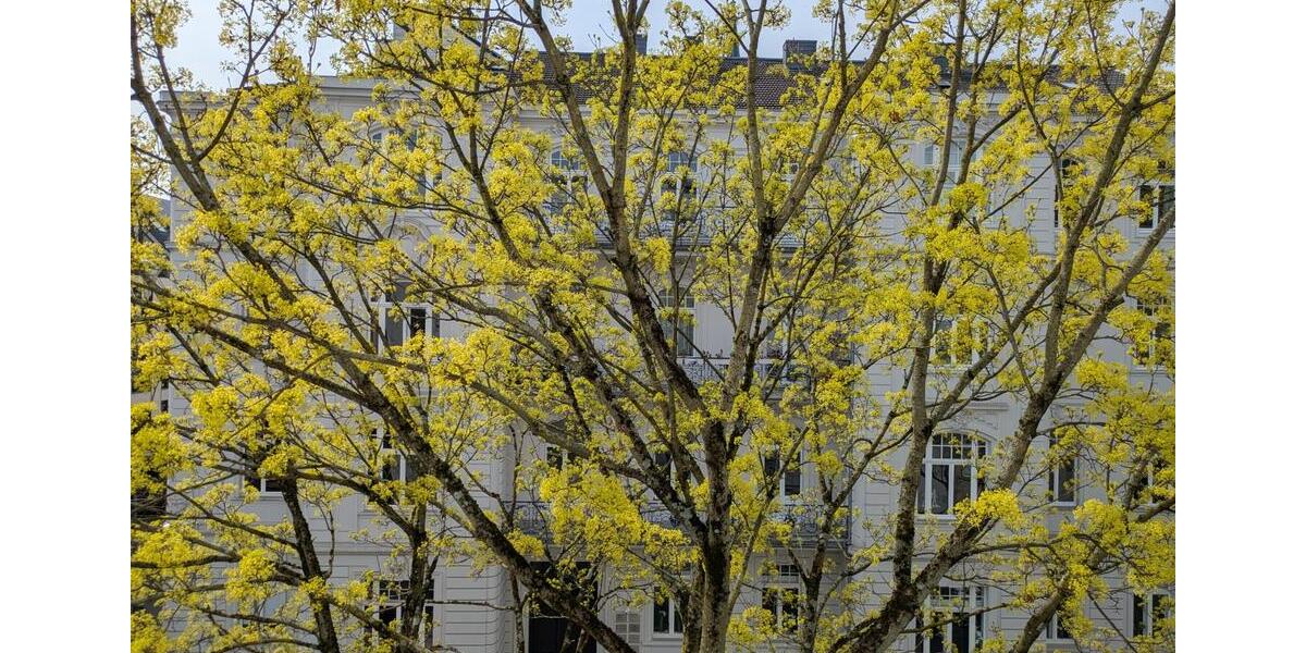 Gewerbeobjekt Köln Innenstadt - 175&euro; | Angebot:25871773