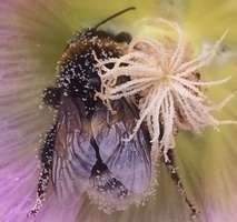 Etagenwohnung Düsseldorf Rath - 3 Zimmer, 92 m&sup2;, 1.250&euro; | Angebot:25774706