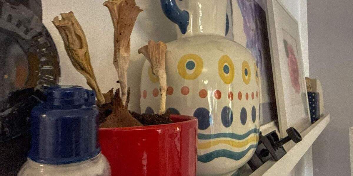 Reihenmittelhaus Neuss Furth-Süd - 5 Zimmer, 159 m&sup2;, 669.000&euro; | Angebot:25862487