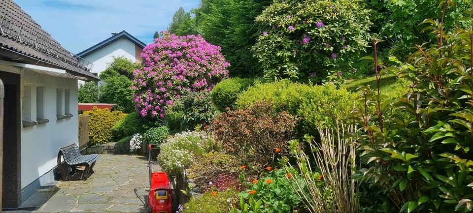 Einfamilienhaus Bergisch Gladbach Alt-Frankenforst - 4 Zimmer, 96 m&sup2;, 189.000&euro; | Angebot:23837990