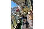 Etagenwohnung Köln Lindenthal - 2 Zimmer, 50 m&sup2;, 990&euro; | Angebot:26698787