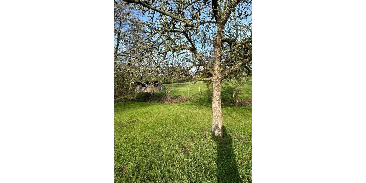 Doppelhaushälfte Bergisch Gladbach Paffrath - 5 Zimmer, 120 m&sup2;, 2.620&euro; | Angebot:26037344