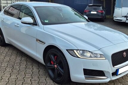 Jaguar XF 39.815 km 21.200 &euro; Köln 50769