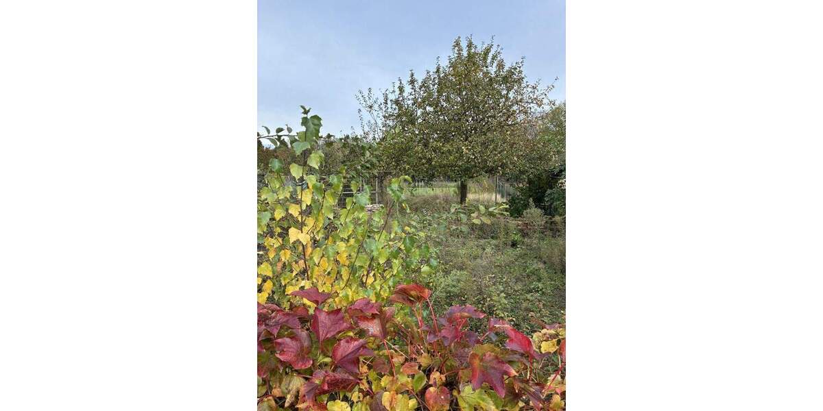 Reihenmittelhaus Bergheim Paffendorf - 4 Zimmer, 95 m&sup2;, 95.000&euro; | Angebot:25674489