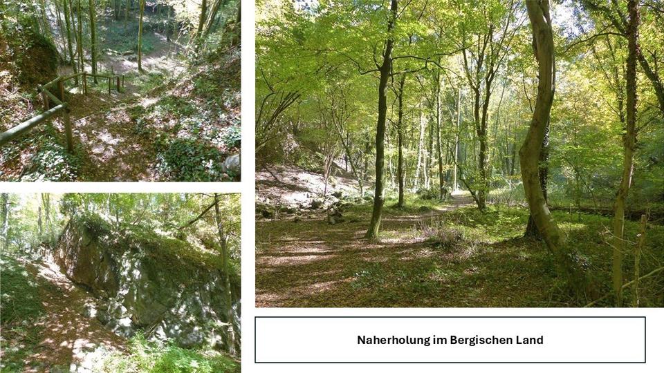 Etagenwohnung Bergisch Gladbach Paffrath - 3 Zimmer, 80 m&sup2;, 1.399&euro; | Angebot:26614566