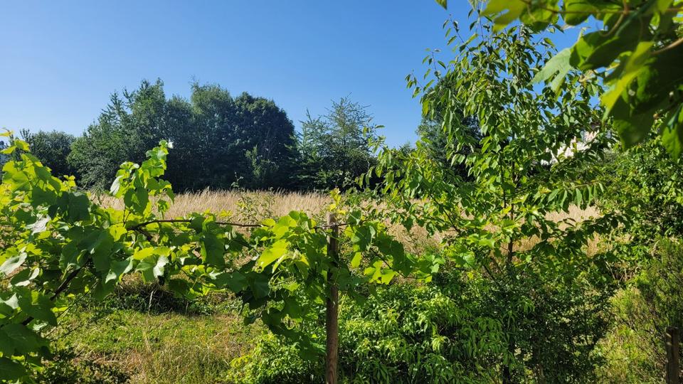 Doppelhaushälfte Bergisch Gladbach Gronau - 7 Zimmer, 140 m&sup2;, 620.000&euro; | Angebot:25649358