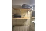 Etagenwohnung Köln Innenstadt - 2 Zimmer, 54 m&sup2;, 1.200&euro; | Angebot:26476676
