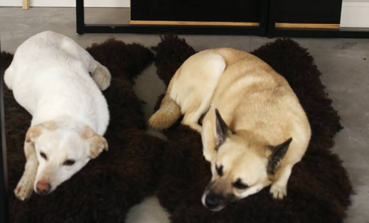 Gewerbeobjekt Köln Altstadt-Süd - 340&euro; | Angebot:25902344