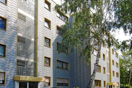 Wohnung Bergheim Niederaußem - 2.5 Zimmer, 65 m&sup2;, 321&euro; | Angebot:27086343