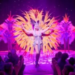 Stars & Glamour - Travestie Revue | Der Dresden Tag