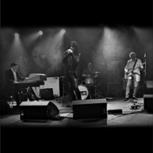 The Doors Rising 15.05.2026 LOGO Hamburg