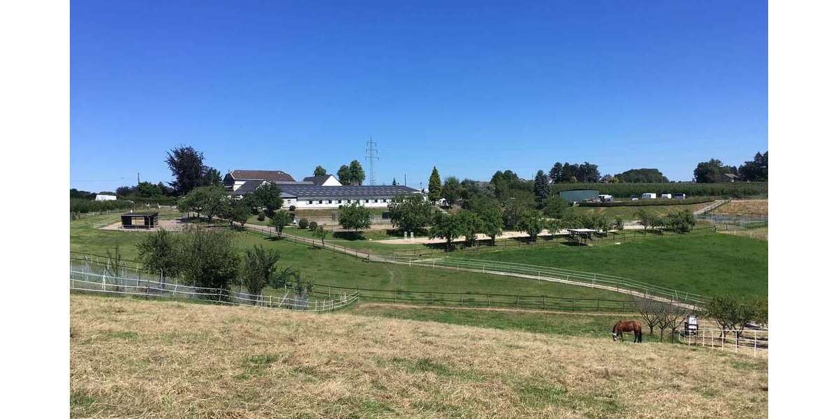 Sonstige Burscheid - 1.985.000&euro; | Angebot:25203766