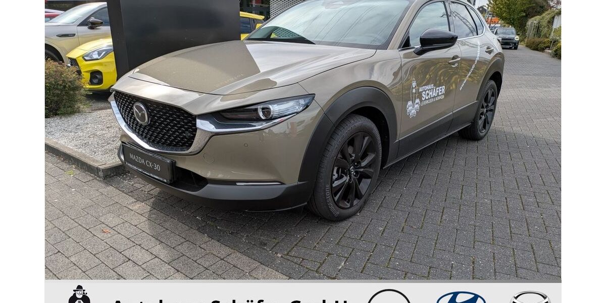 Mazda CX-30 2.738 km 25.888 &euro; Leverkusen 51373
