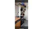 Etagenwohnung Düsseldorf Pempelfort - 1 Zimmer, 15 m&sup2;, 480&euro; | Angebot:26698770