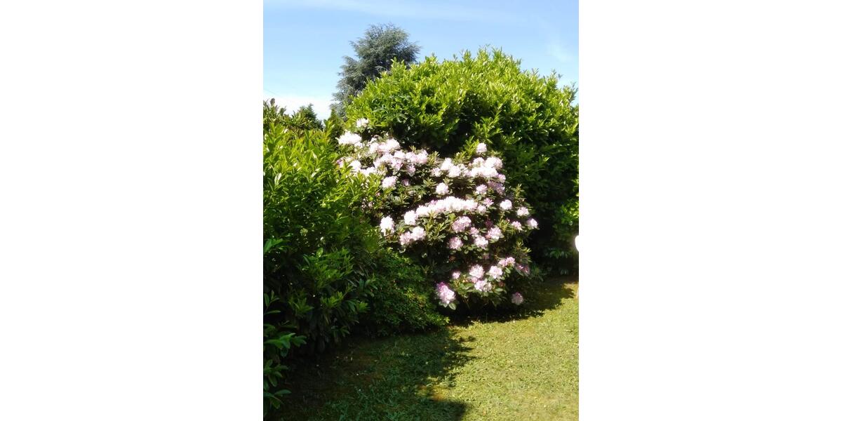 Reihenhaus Meerbusch - 5 Zimmer, 120 m&sup2;, 569.000&euro; | Angebot:25660275