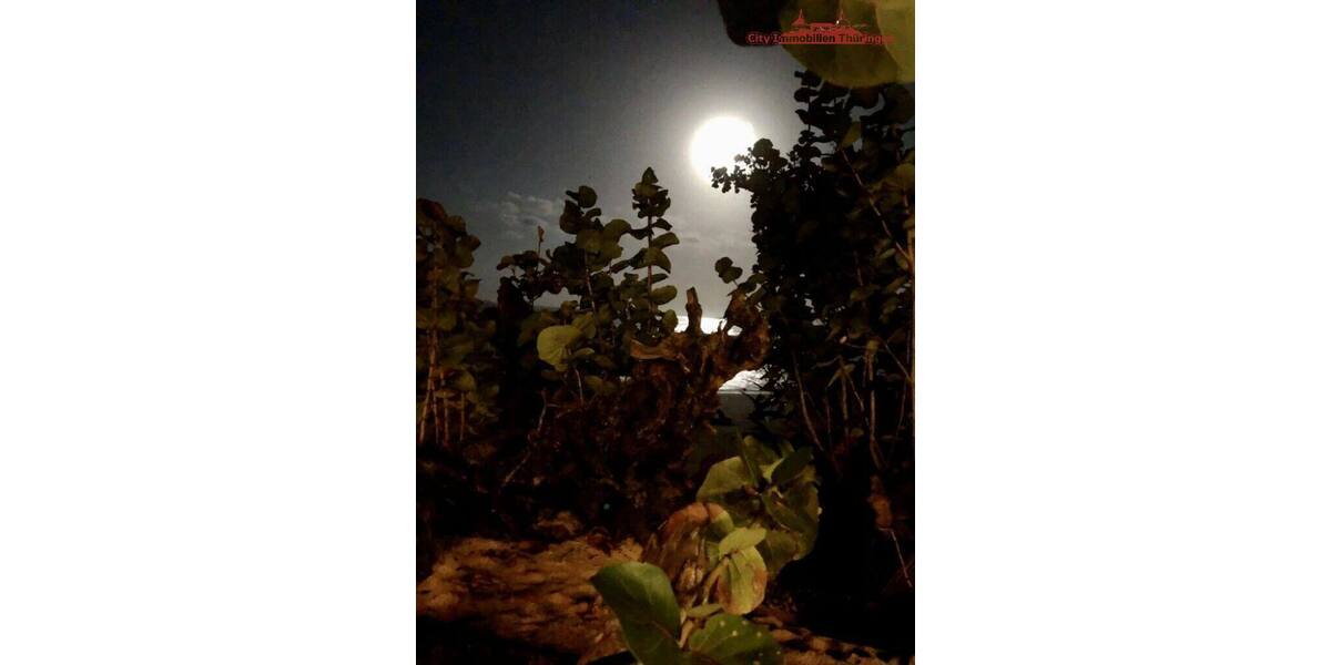 Grundstück in Costa Rica in einer der blauen Zonen der Erde - Grundstück Köln | Angebot:6421931