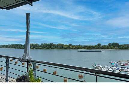 Wohnung Köln Rodenkirchen - 1 Zimmer, 44 m&sup2;, 275.000&euro; | Angebot:24559193