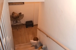 2,5 Zimmerwohnung auf 148 m² Gesamtfläche in gehobener Wohnanlage mit Pool in Metzkausen! - Erdgeschoßwohnung Mettmann / Metzkausen Metzkausen | Angebot:26705579