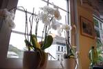 Einfamilienhaus Solingen Solingen-Mitte - 5 Zimmer, 102 m&sup2;, 258.000&euro; | Angebot:26684332