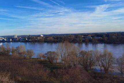 Zimmer Köln Riehl - 1 Zimmer, 1.290&euro; | Angebot:21388260