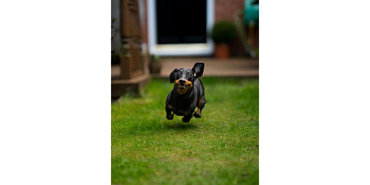 Einfamilienhaus Solingen Mitte - 5 Zimmer, 136 m&sup2;, 1.700&euro; | Angebot:24629809