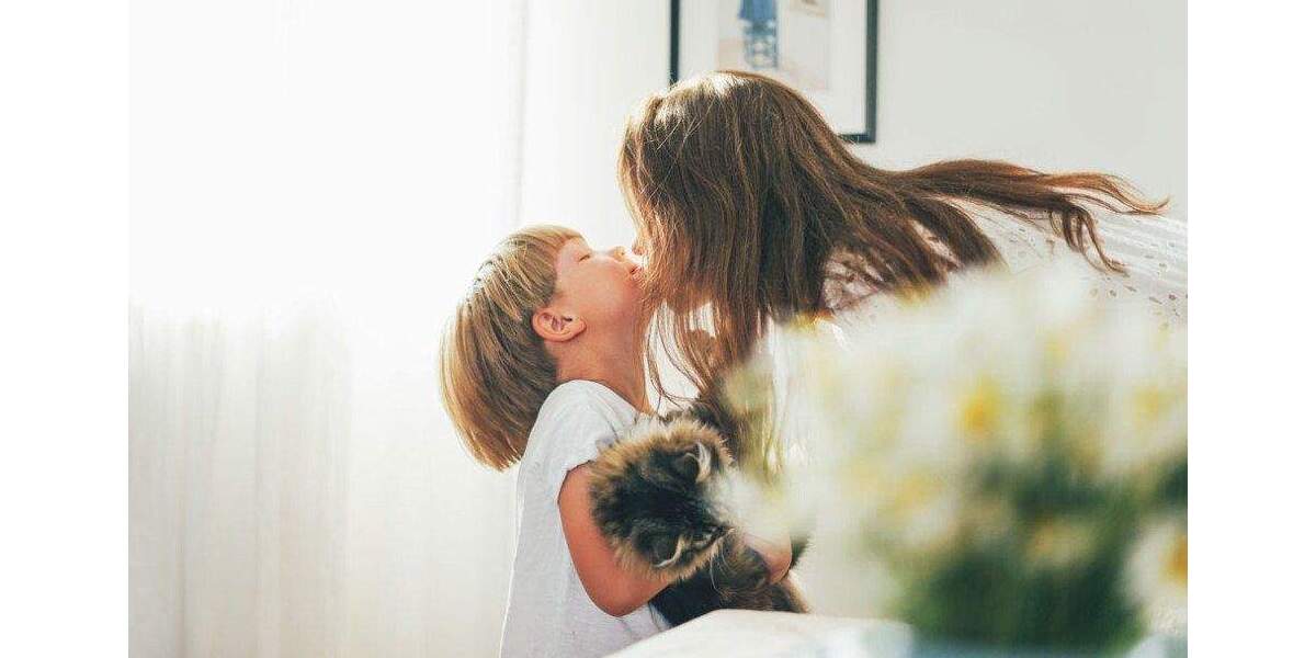 Mehrfamilienhaus, Wohnhaus Kerpen - 1 Zimmer, 272 m&sup2;, 610.229&euro; | Angebot:25739003