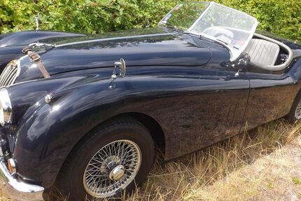 Jaguar XK 16.642 km 119.850 &euro; Mettmann 40822