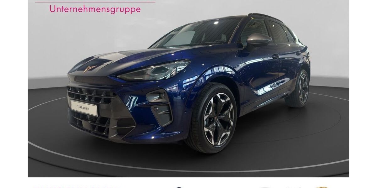 Cupra Terramar 10.928 km 35.990 &euro; Köln-Mülheim 51063