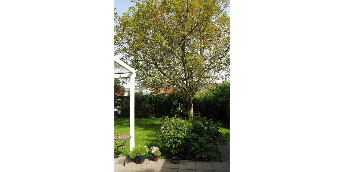 Einfamilienhaus Kerpen - 7 Zimmer, 181 m&sup2;, 665.000&euro; | Angebot:26712880