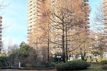 Wohnung Köln Bayenthal - 3 Zimmer, 100 m&sup2;, 1.580&euro; | Angebot:25500347