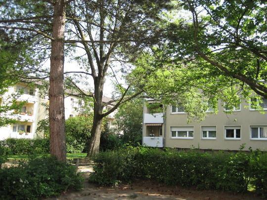 Etagenwohnung Köln Mülheim - 3 Zimmer, 78 m&sup2;, 1.046&euro; | Angebot:25882892