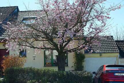 Haus Leverkusen Alkenrath - 5 Zimmer, 131 m&sup2;, 559.000&euro; | Angebot:25901163