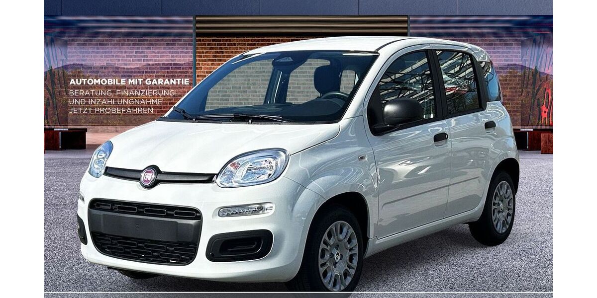 Fiat Panda 5.000 km 13.980 &euro; Burscheid 51399